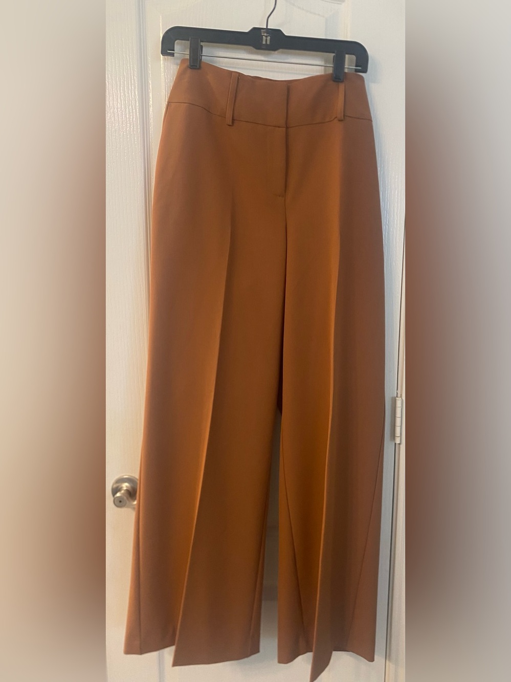 Lane Bryant Wide-Leg Pants in Warm Rust Brown